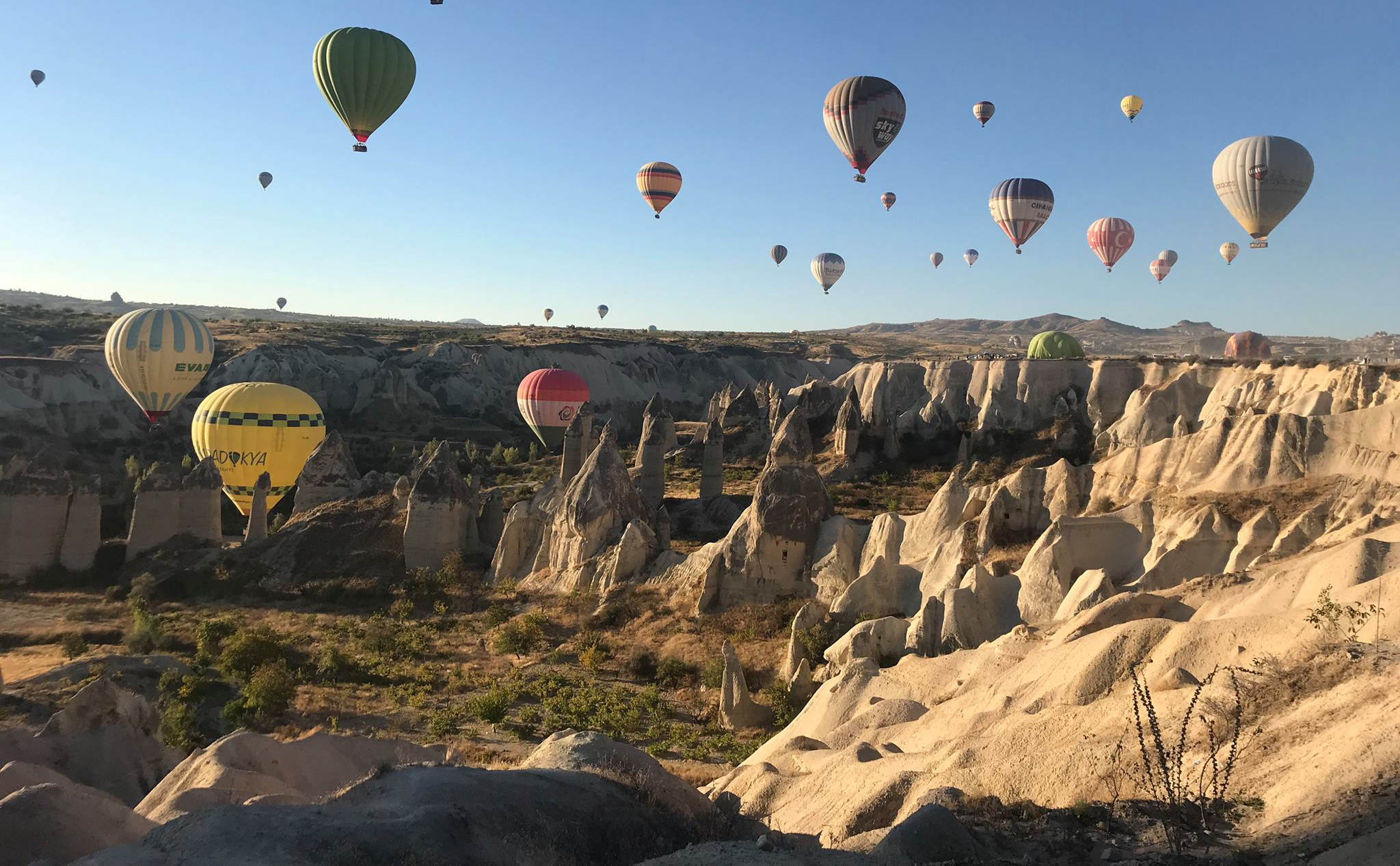 Преподаватели Высшей школы режиссеров и сценаристов